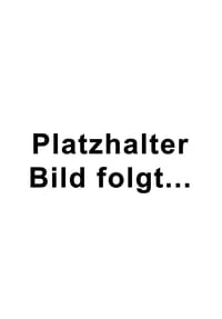 BIALETTI - Griff für New Moka Induktion Espressokocher 6 Tassen, Grau - Grau
