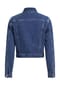 Calvin Klein Jeans Jeansjacke, Klappkragen, Baumwolle, für Damen Bild 3