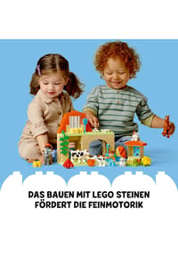 Bild 21
