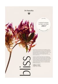 Dr. Hauschka - Adventskalender - MULTICOLOR