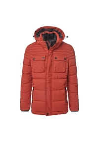 CASAMODA - Herren Steppjacke uni - 336 GRUEN