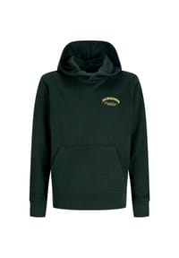 JACK & JONES - Kapuzenpullover BRANDES Hoodie - blau