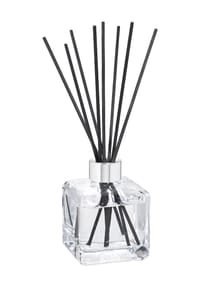 MAISON BERGER INSTITUTIONELLE - Raumduft "Zest of Verbena" - 