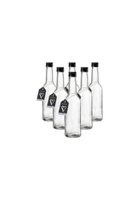 Ritzenhoff & Breker Flaschen Mara 350 ml 6er Set transparent - MARA - transparent