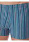 SCHIESSER 95/5 Essentials Pants kurz, Gummibund, für Herren Bild 9