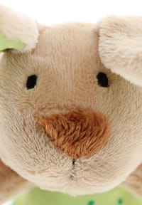 Bild 15