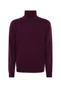 pierre cardin - Pullover in schlicht zeitlosem Design - Mole