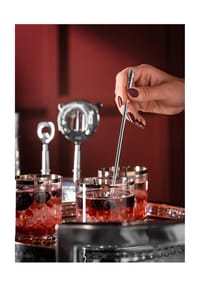 Fink Barzubehör-Set, 6-teilig - Nassau - EDELSTAHL