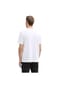 TOM TAILOR Herren T-Shirt, 4er Pack - T-Shirt with Print, Rundhals, Regular Fit, Baumwolle Bild 11