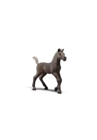 schleich® - Horse Club - Sammelfohlen Darcy 81460 - 