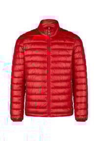 HECHTER PARIS - Blouson - dark green