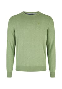 HECHTER PARIS - pullover - kiwi