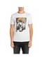 REPLAY T-Shirt, Baumwolle, für Herren Bild 1