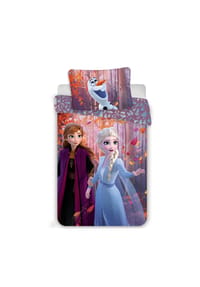 Disney - Baumwolle Bettwäsche Bettbezug 140x200 cm & Kissenbezug 70x90 cm - Blau 140 x 200 cm + 70 x 90 cm