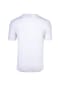 ellesse Herren T-Shirt, OLLIO, 2er Pack - Oberteil, Baumwolle, Rundhals, kurz, Logo, einfarbig Bild 3