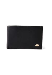 Esquire Chicago - Chicago Geldbörse RFID Schutz Leder 10.5 cm - braun