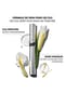 YVES SAINT LAURENT MASCARA LASH LATEX Mascara Bild 9