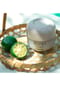 SHISEIDO WASO Shikulime Mega Hydrating Moisturizer Bild 9