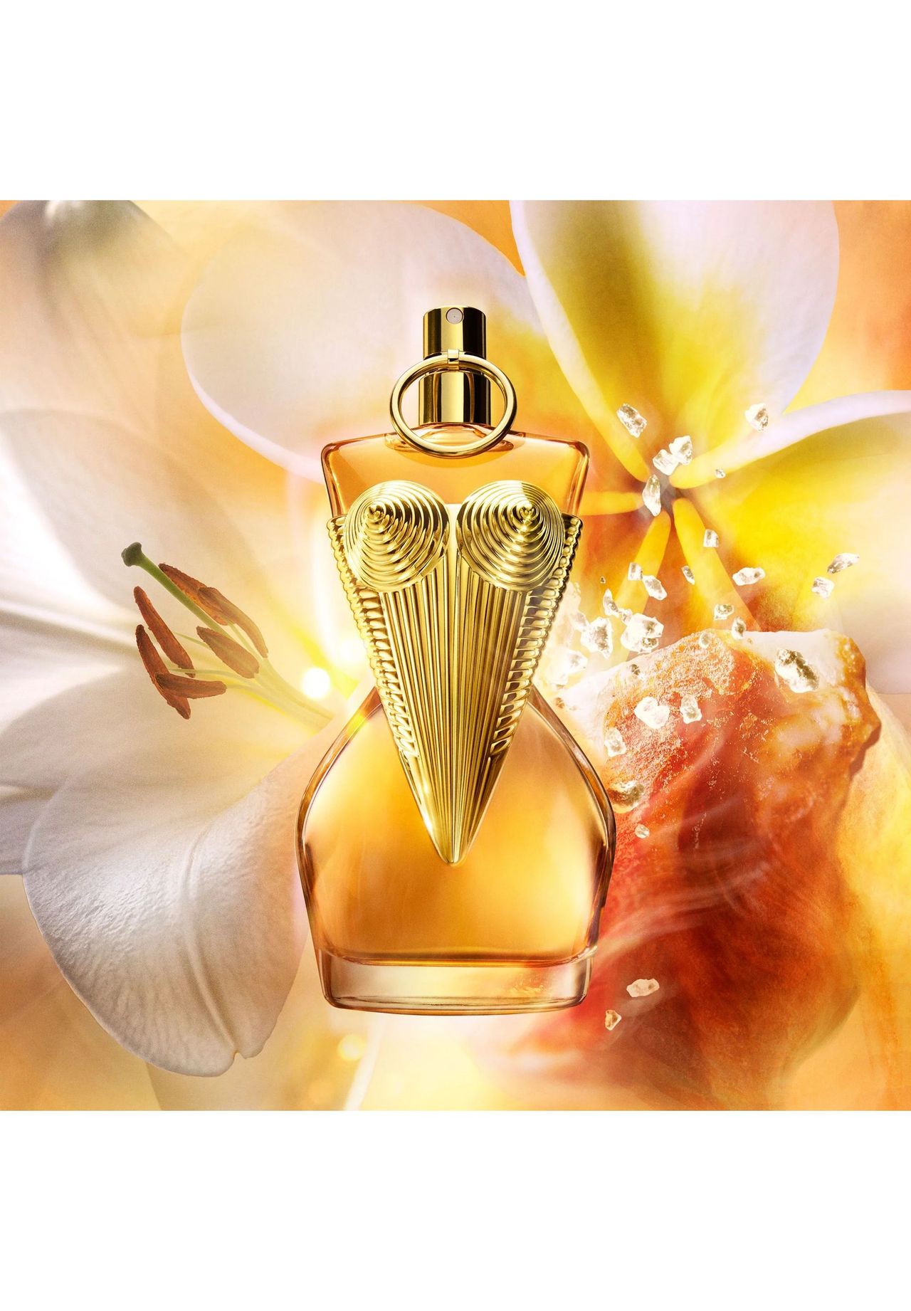 Jean Paul Gaultier Gaultier Divine Le - Intense, Eau De Parfum, Damen, Blumig|Orientalisch