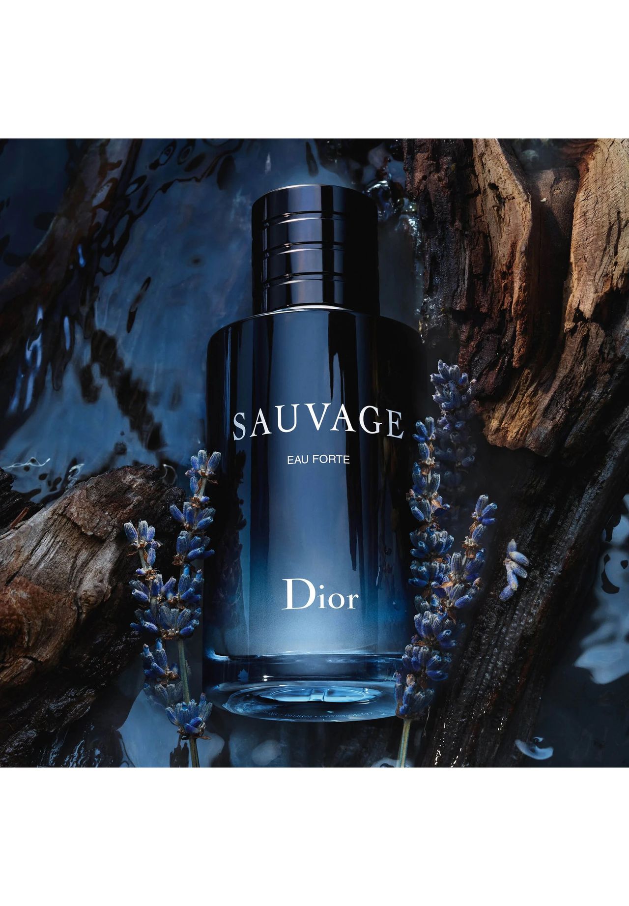 DIOR SAUVAGE SAUVAGE EAU FORTE ALKOHOLFREIER DUFT FRISCHE UND INTENSIVE NOTEN GALERIA