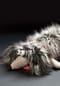 sigikid® Kuscheltier Duchess of Hampershire, BeastsTown ,  für Erwachsene und Kinder Bild 12