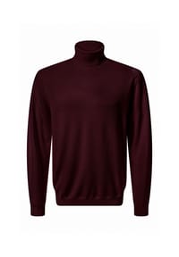 pierre cardin - Pullover Mit Rollkragen - Schwarz