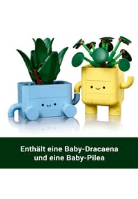 Bild 16