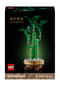 LEGO® Die Botanik-Kollektion - 10344 Botanicals Glücks-Bambus Bild 17