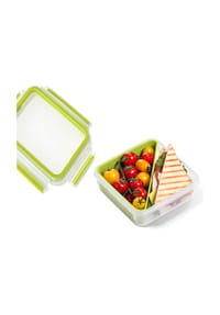 emsa Sandwichbox "Clip & Go", mit Einsatz, 0,9 l - Clip & Go - PISTAZIE/TRANSPARENT
