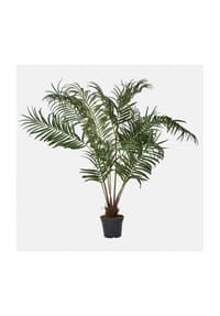 LOBERON - Deko-Palmenplanze Mersina grün - grün