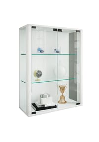 VCM. - Glasvitrine hängend | Vitrine Glas mit ESG-Sicherheitsglas | Maße: H. 80 x B. 60 x T. 25 cm | Hängevitrine Glas | Modern und platzsparend | Glas Vitrinenschrank - Udina - 