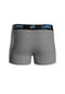 NFL Boxer Detroit Lions Bild 9