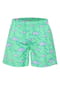 CHIEMSEE Badeshorts, schnelltrocknend, für Herren Bild 11