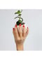 VARGU LAUED Nagelfolien solid red Bild 11