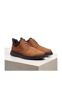 LLOYD - ARKADIA ARKADIA - cigar/brown