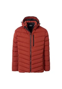 CASAMODA - Herren Steppjacke uni - Dunkelgrün