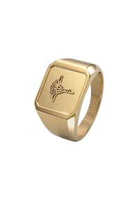 JOOP! - Ring für Herren, Edelstahl | Kornblume - Gold