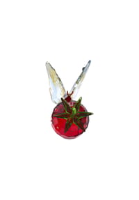 SWAROVSKI GEMA - Kristallfigur "Schmetterling und Erdbeere" 5666846 - ROT