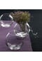 LEONARDO Kugel-Vase BOCCIA Bild 10