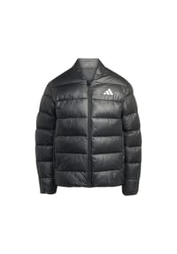 adidas - Steppjacke, wasserabweisend, winddicht, für Herren - BLACK