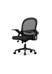 Rattantree - Ergonomischer Bürostuhl mit Netzrücken, klappbaren Armlehnen, Lendenstütze und Drehfunktion,Schwarz - grau