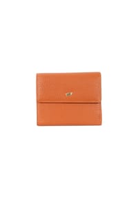 BRAUN BÜFFEL ASTI - Brieftasche, RFID-Schutz, für Damen - PUMPKIN SPICE
