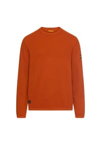 camel active - Pullover aus reiner Baumwolle - Tintenblau