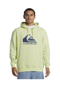 QUIKSILVER - Kapuzenpullover Big Logo - grün