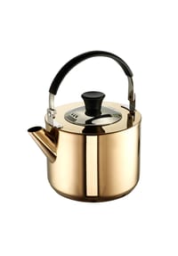 SCHULTE-UFER® Wasserkessel "Katja" - ZUBEHÖR - SILBER