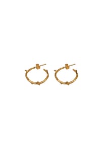 LES REINES - The Branchlet (Petite) – Creolen, 24K vergoldet - Gold