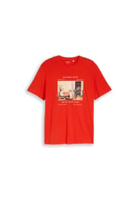 TOM TAILOR - T-Shirt, Baumwolle, für Herren - 10348 GARDEN WHITE