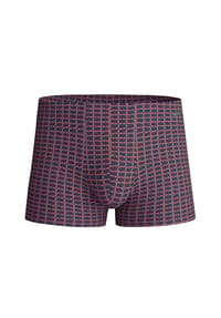 CALIDA - Pants Grafic Cotton, Gummibund, für Herren - 366 DARK DENIM