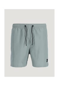 CHASIN' - Short - ICEBERG GREE