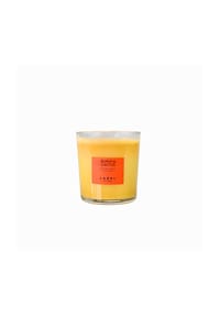 MAISON LABEL - Guava & Cactus Candle - black